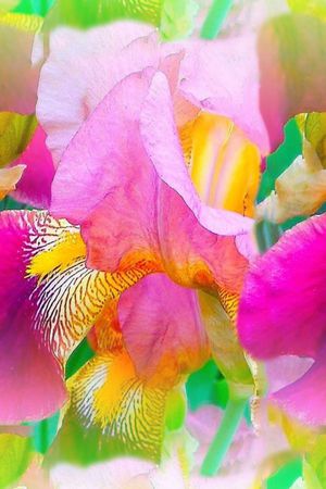 定位马来风格印花花型图片