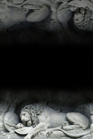 Moncler印花花型图片