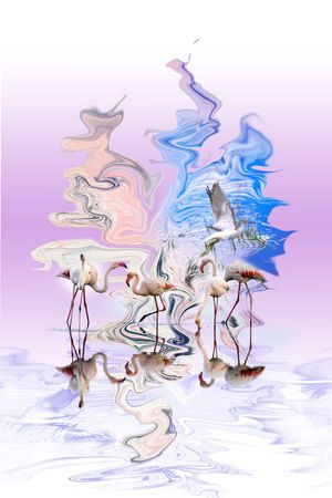白鹤印花花型图片
