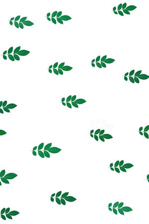 树叶印花花型图片