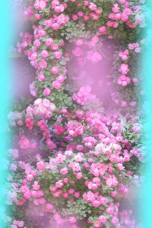 花 月季印花花型图片
