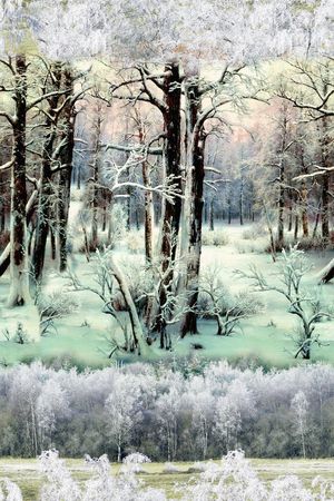 雪景印花花型图片