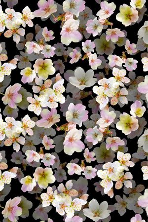 大牌花卉印花花型图片