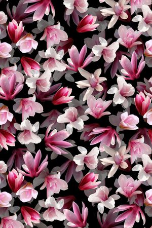 层次花印花花型图片