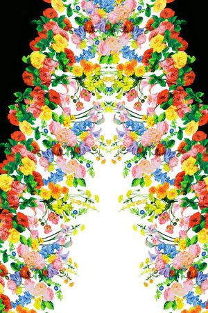 定位女装印花花型图片