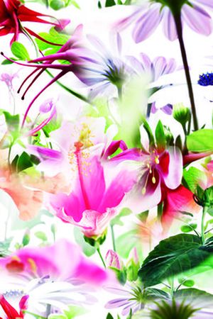 现代印花花型图片