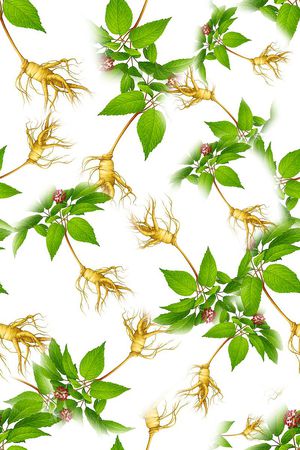 人参印花花型图片