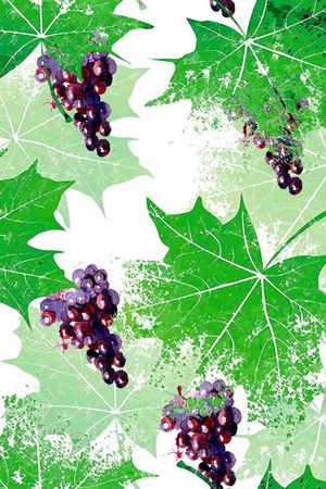 面料印花花型图片