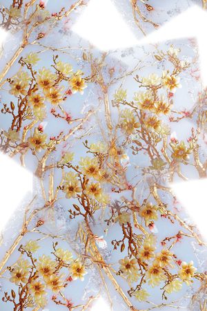 女装印花花型图片