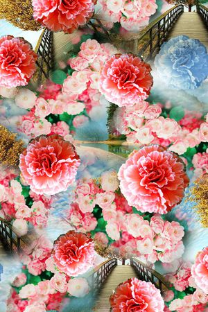 女装印花花型图片