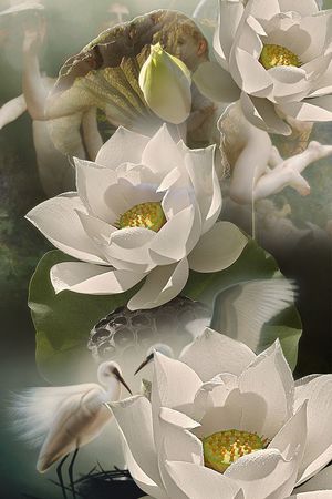 大花卉印花花型图片