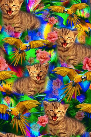 可爱猫咪印花花型图片