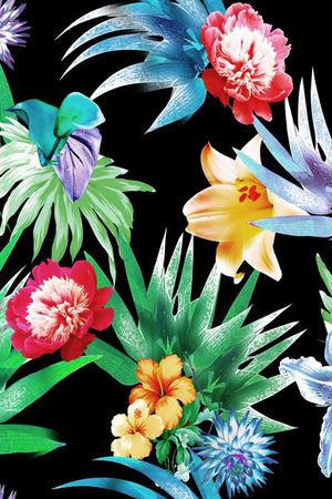 热带印花花型图片