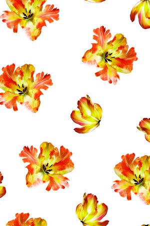 现代印花花型图片