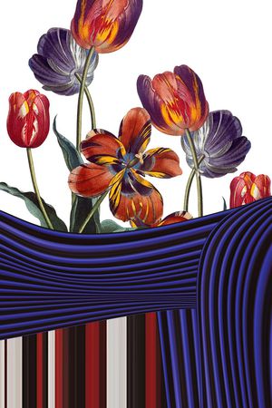 Mary Katrantzou印花花型图片