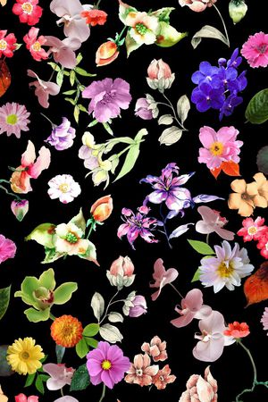 纯色底印花花型图片