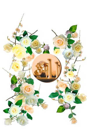 女装定位花型印花花型图片
