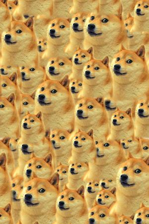柴犬印花花型图片