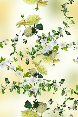 服装印花花型图片