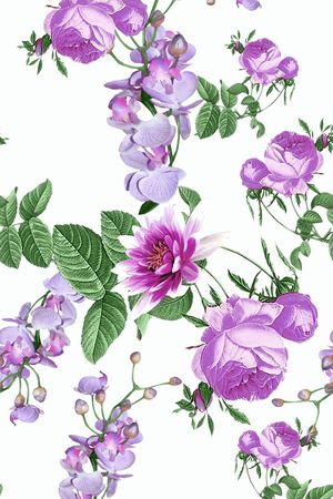 大牌印花花型图片