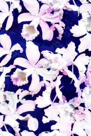 插花印花花型图片