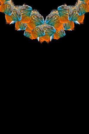 复古印花花型图片