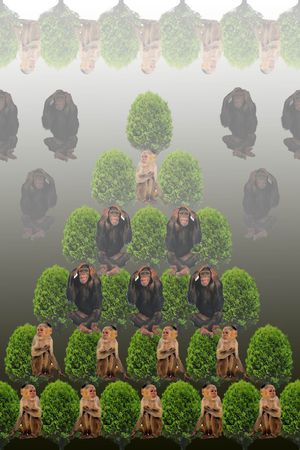 猴子印花花型图片