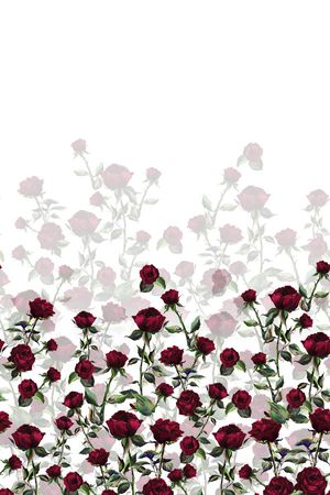 花卉印花花型图片