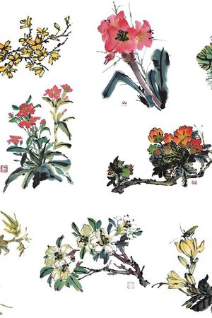 花朵印花花型图片
