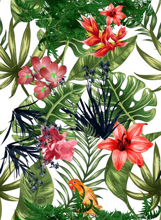 热带印花花型图片
