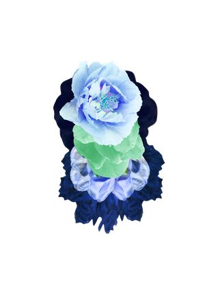 时尚印花花型图片