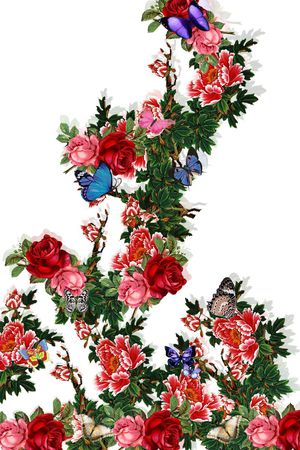 蝴蝶印花花型图片