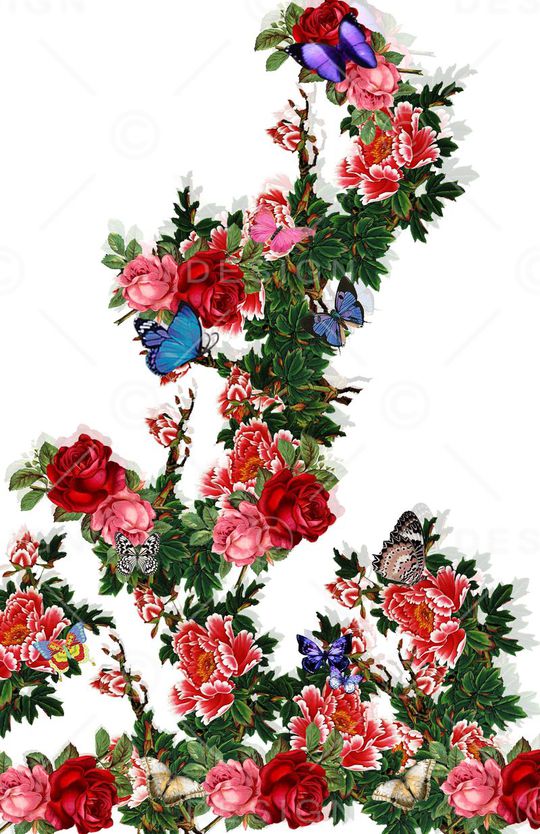 蝴蝶印花花型图片