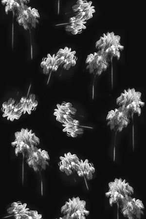 潮流大牌印花花型图片