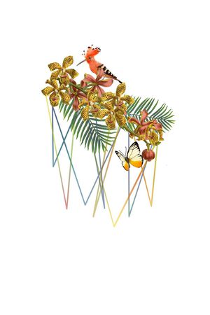 T恤印花花型图片