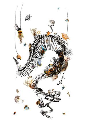 MCQ 麦昆印花花型图片
