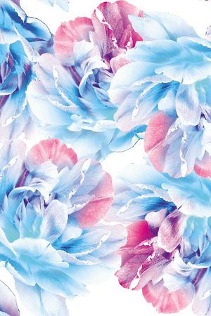 流行时尚印花花型图片