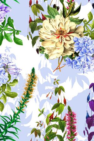 流行时尚印花花型图片