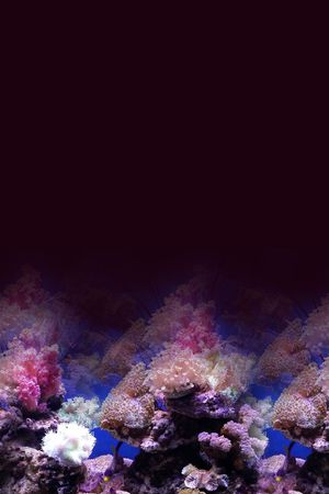 复古印花花型图片