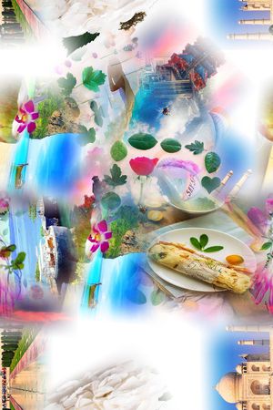 休闲印花花型图片