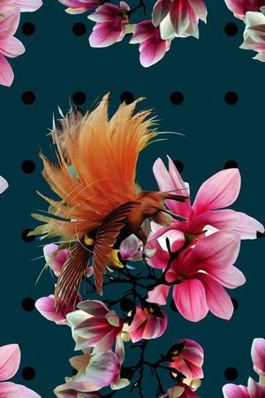 波点印花花型图片