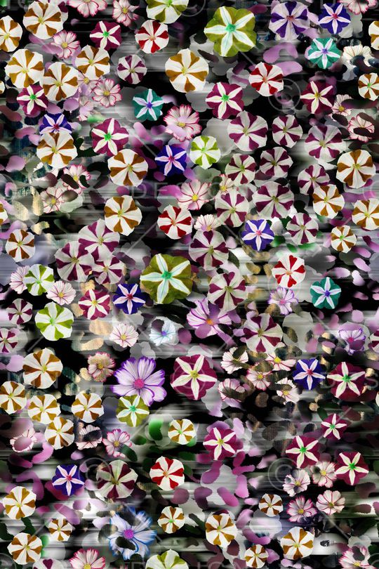 散花印花花型图片