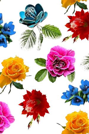 热带印花花型图片