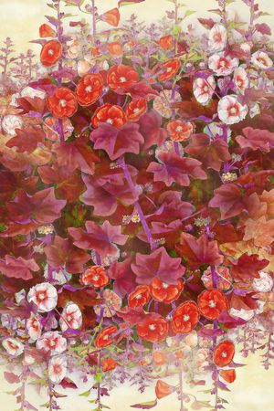 芙蓉花印花花型图片