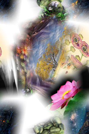 大牌印花花型图片