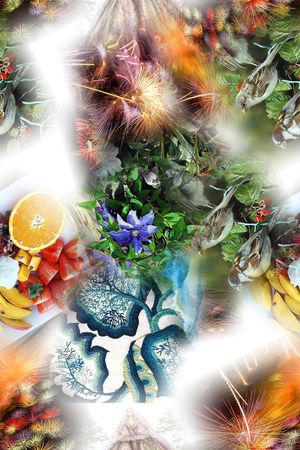 时尚印花花型图片