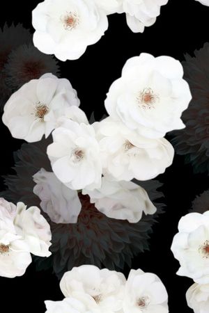 白色花朵印花花型图片