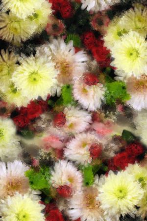 幻彩时尚朦胧花朵印花花型图片