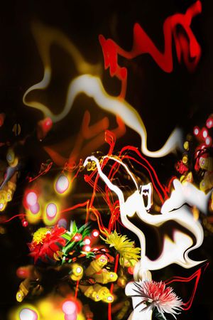 定位印花花型图片