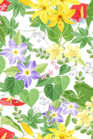 服装印花花型图片